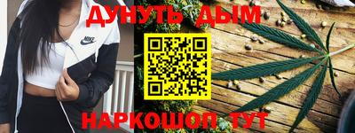 индика Кинель