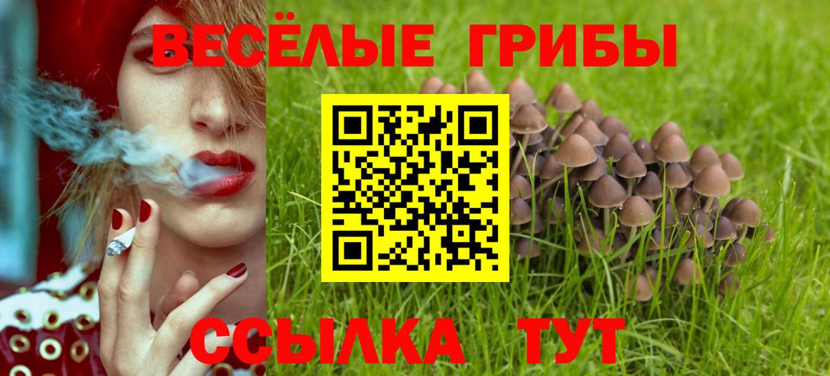 Псилоцибиновые грибы MAGIC MUSHROOMS Комсомольск-на-Амуре